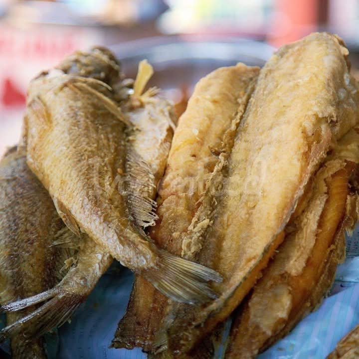 Poisson Frit